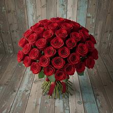 Букет 55 Красных роз Фридом #REPLACE_PRED# Зубово