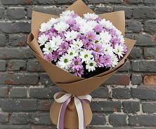 Букет цветов из:  Хризантемы #REPLACE_PRED# Зубово