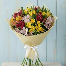 Букет цветов из:  Альстромерии в Зубово