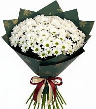 Букет цветов из:  Хризантемы #REPLACE_PRED# Зубово