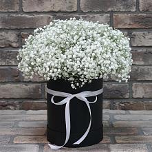 Цветочная композиция из Гипсофила в шляпной коробке в Зубово
