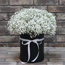 Цветочная композиция из Гипсофила в шляпной коробке в Зубово