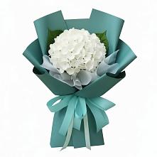 Букет цветов из:  Гортензия в Зубово